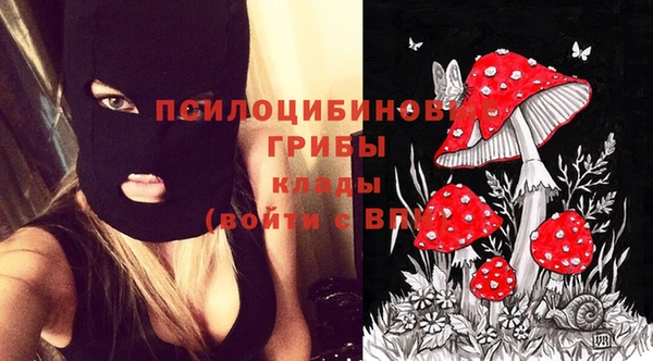 круглые Алексеевка