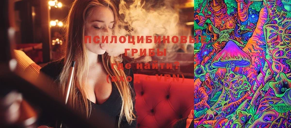 круглые Алексеевка