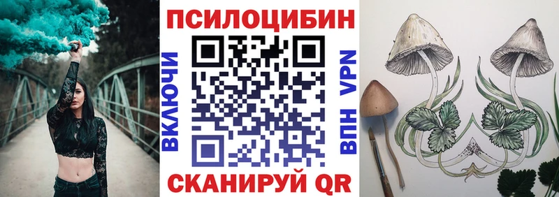 mega ссылки  Калининск  Галлюциногенные грибы Magic Shrooms 
